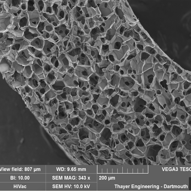 Thermally Cross-Linking Chitosan Tissue Scaffolds